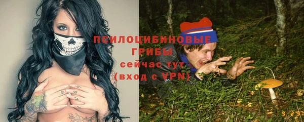 эйфоретик Аркадак