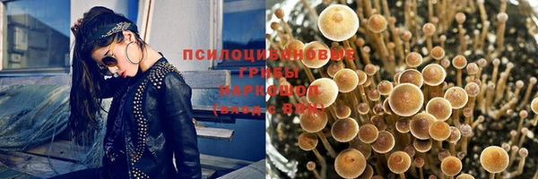 меф Арсеньев