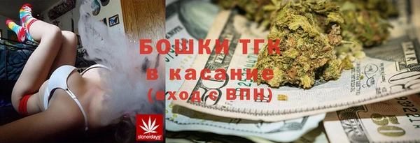 эйфоретик Аркадак