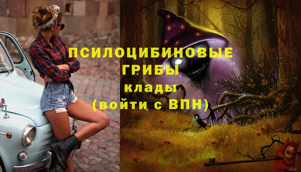 меф Арсеньев