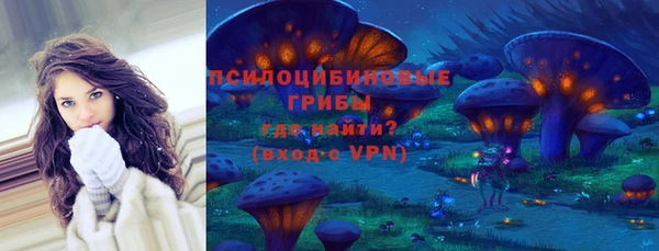 меф Арсеньев